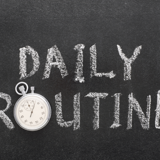 Daily Routines
