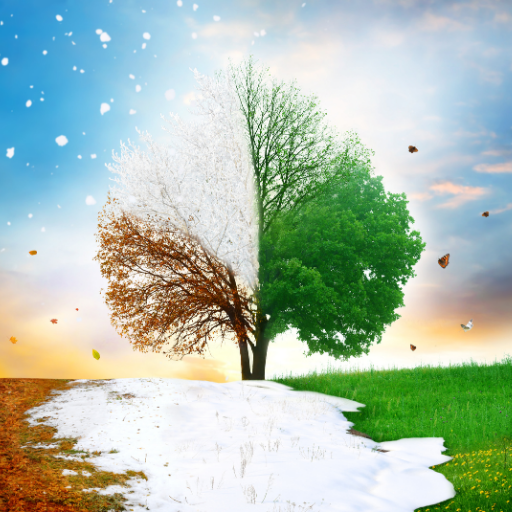 Seasons